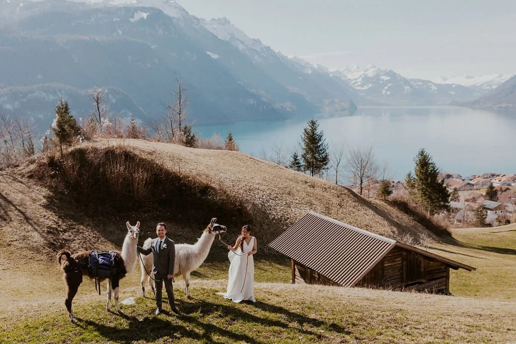 top elopement packages in 2024