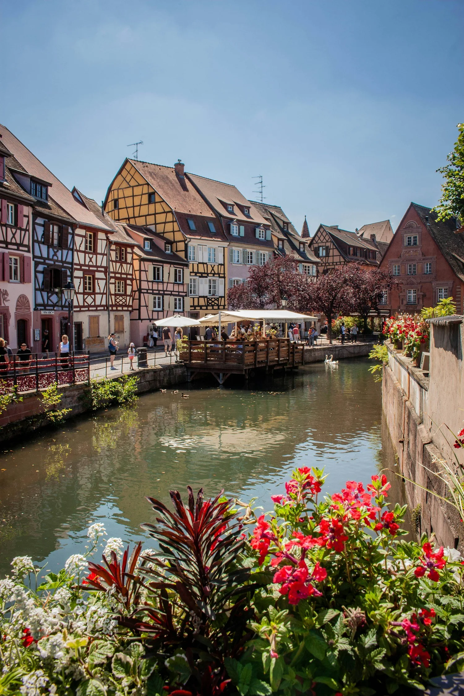 Colmar elopement photography