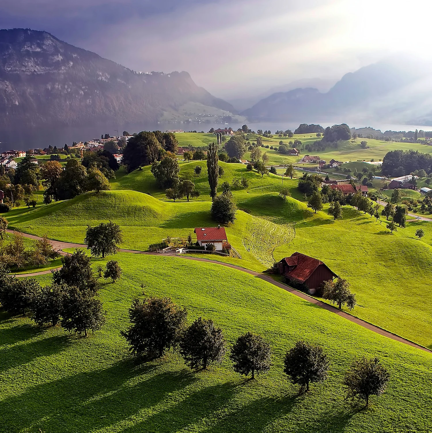 Elope in Switzerland