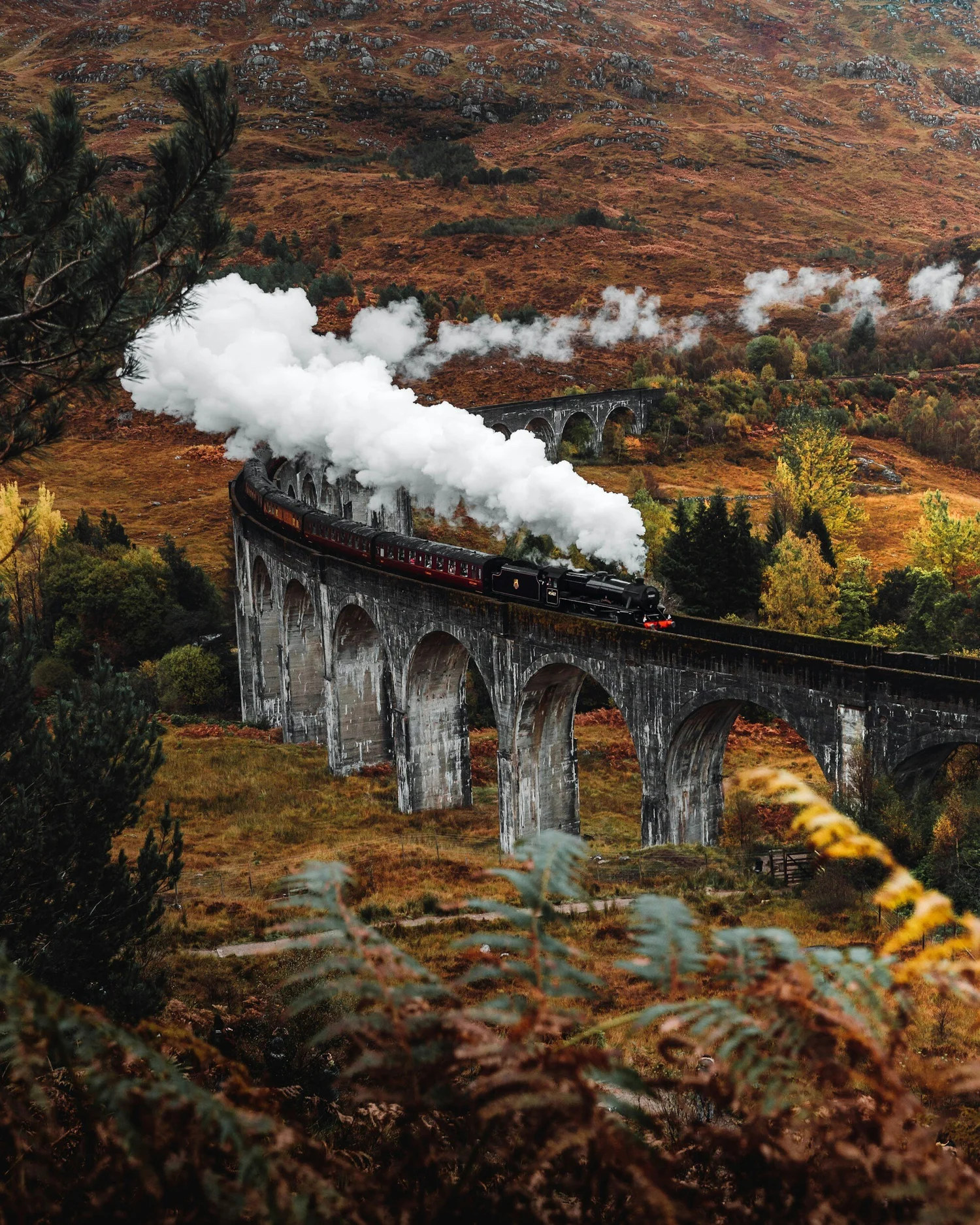 Elope in Scotland